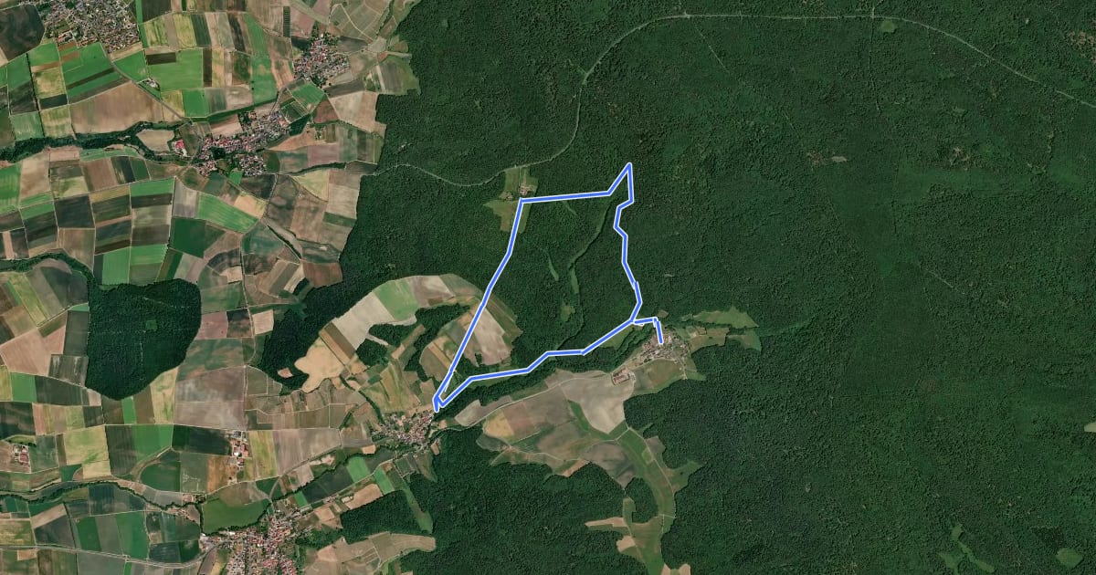 Маршрут Rundweg Neuhausen N2 на спутниковом снимке