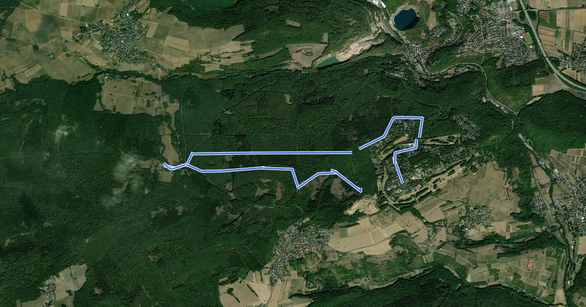 Маршрут Rundweg Neupfalz на спутниковом снимке