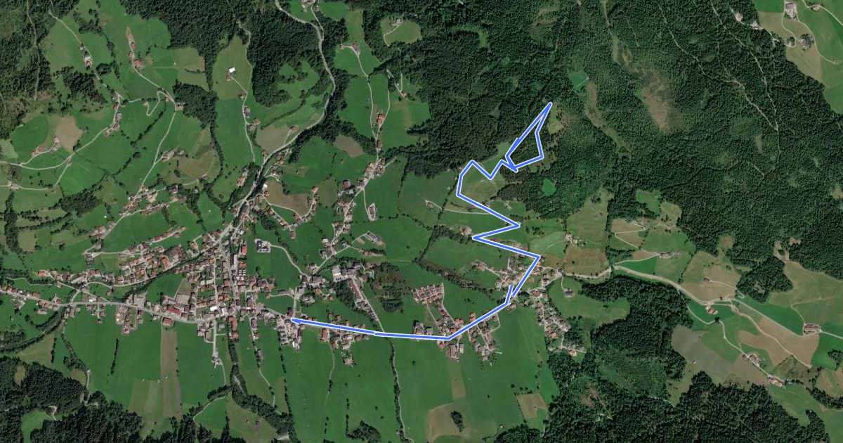 Маршрут Rundweg Niederau Foisching на спутниковом снимке