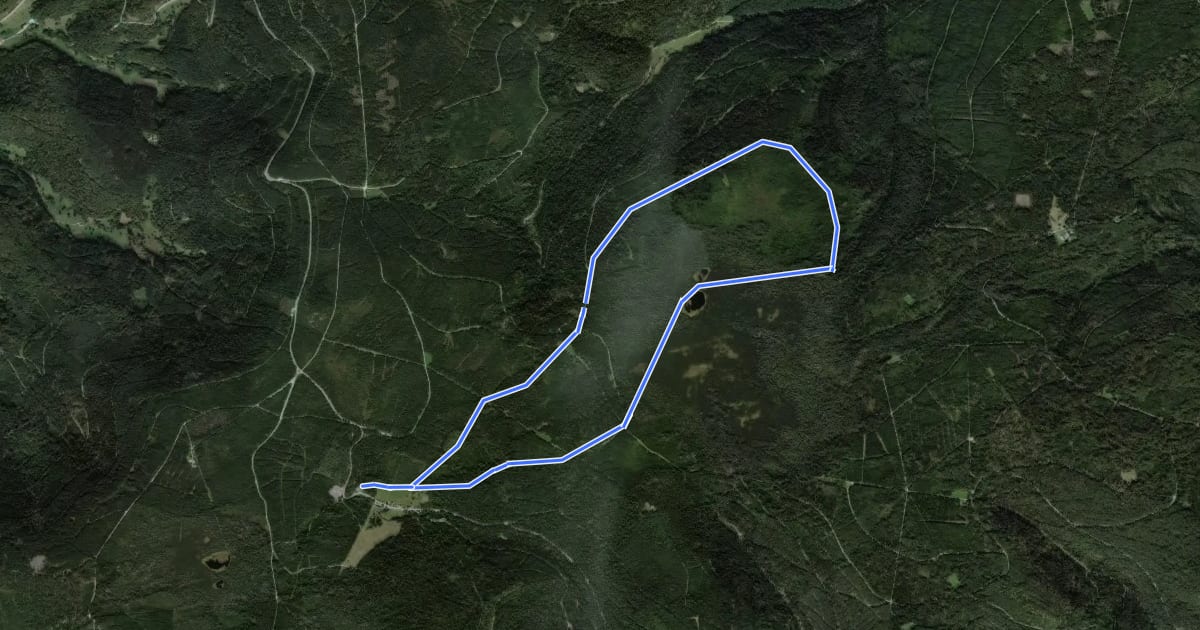 Маршрут Rundweg Nr. 1 - Grünhütten-Rundweg на спутниковом снимке