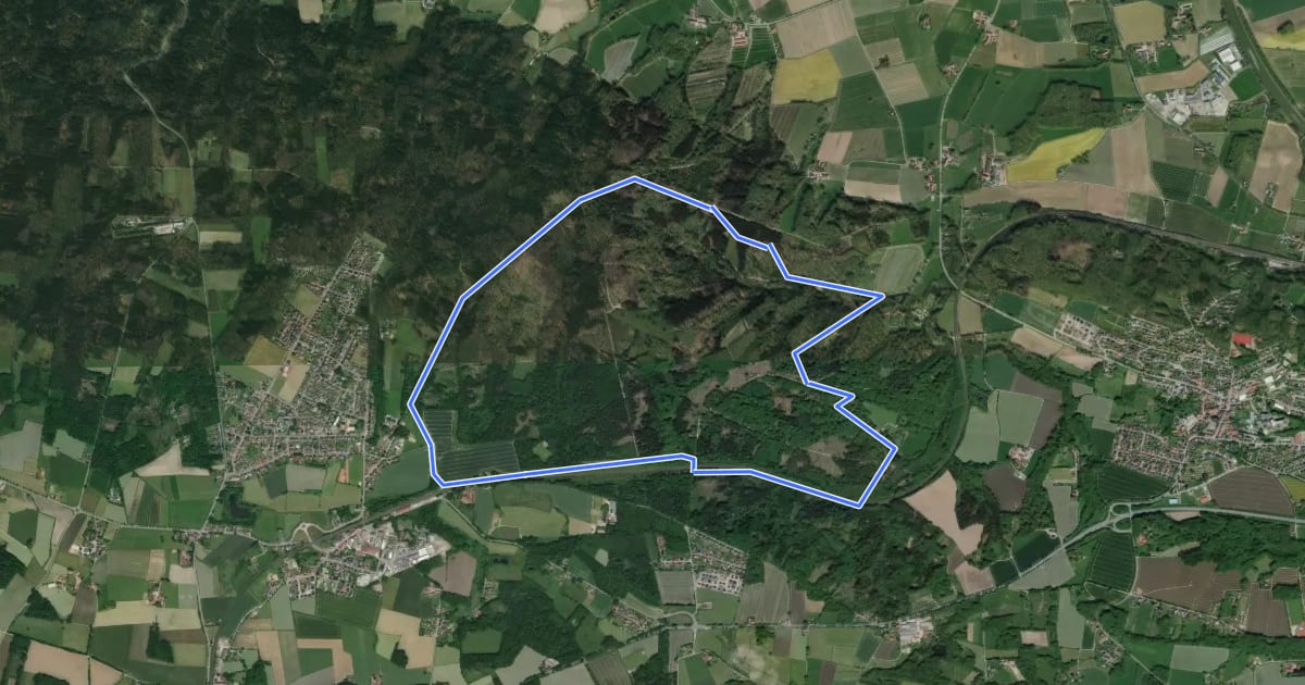 Маршрут Rundweg Nr 3 (Krebsburger Wald) на спутниковом снимке