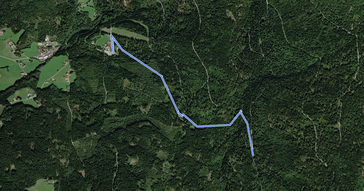 Маршрут Rundweg Nr. 8 на спутниковом снимке