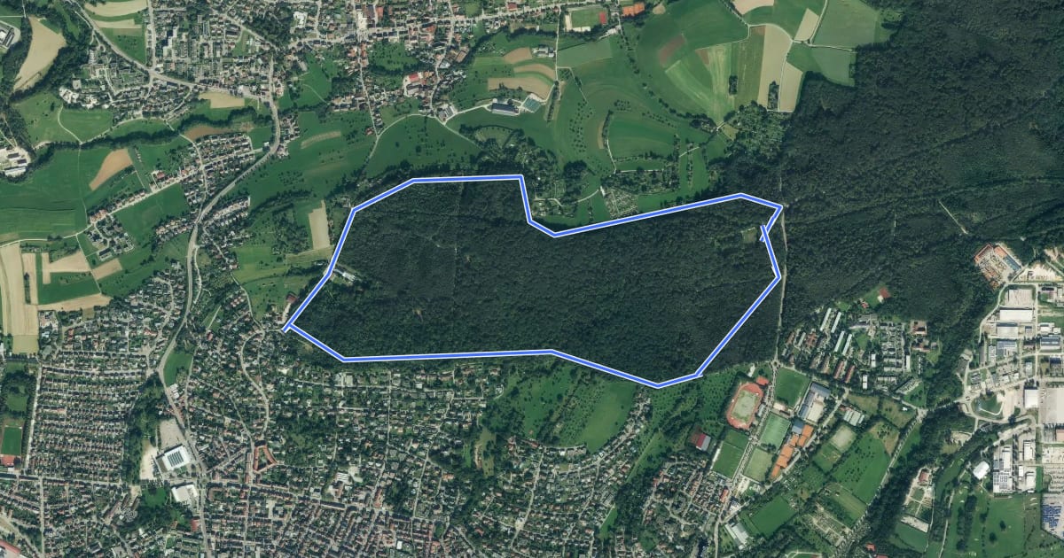 Маршрут Rundweg Oberholz на спутниковом снимке