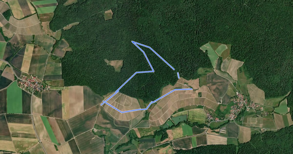 Маршрут Rundweg Oberschwarzach O1 на спутниковом снимке