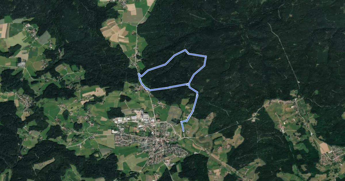 Маршрут Rundweg Pilz на спутниковом снимке