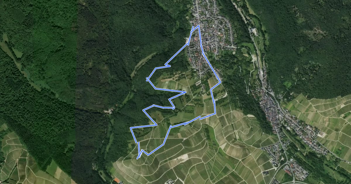 Маршрут Rundweg Rauenthal на спутниковом снимке