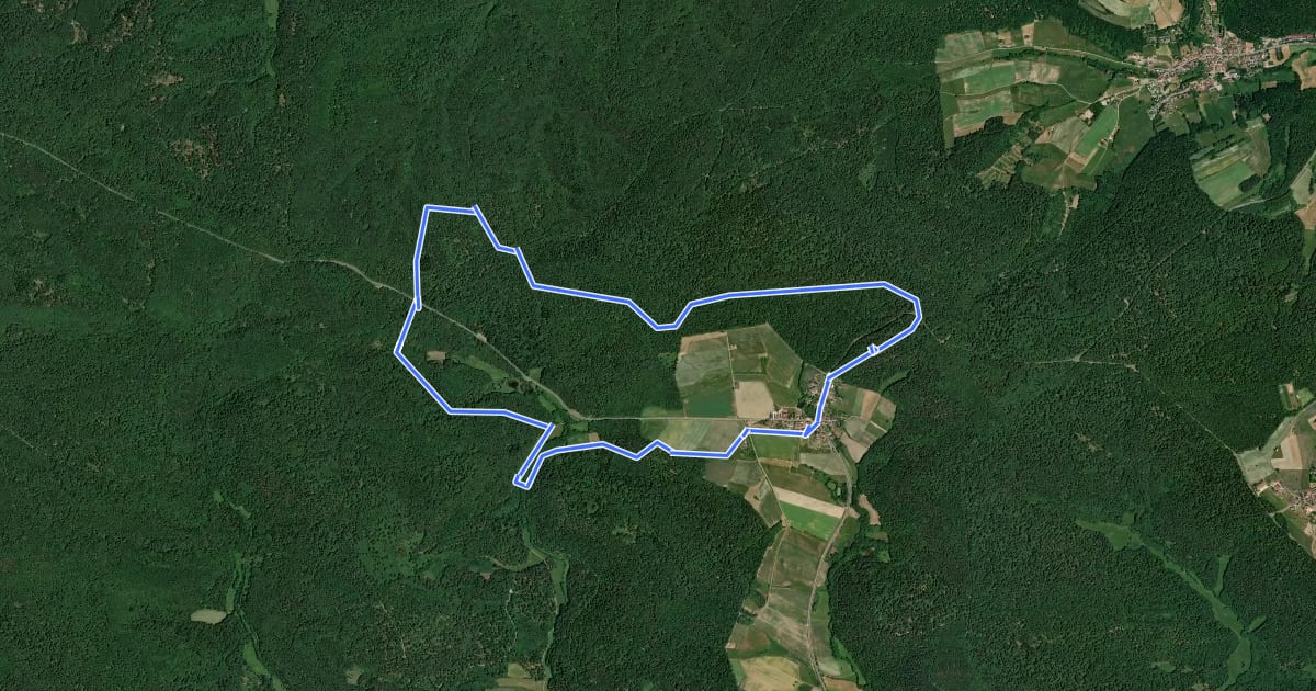 Маршрут Rundweg Rauhenebrach R 8 на спутниковом снимке