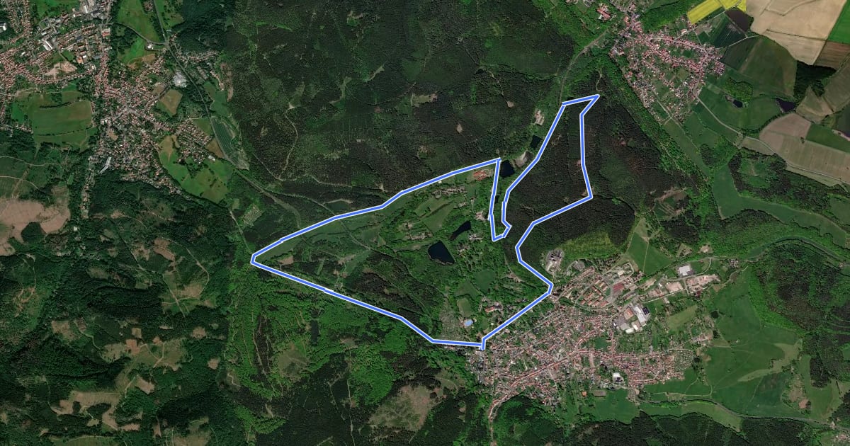 Маршрут Rundweg Reinhardsbrunn на спутниковом снимке