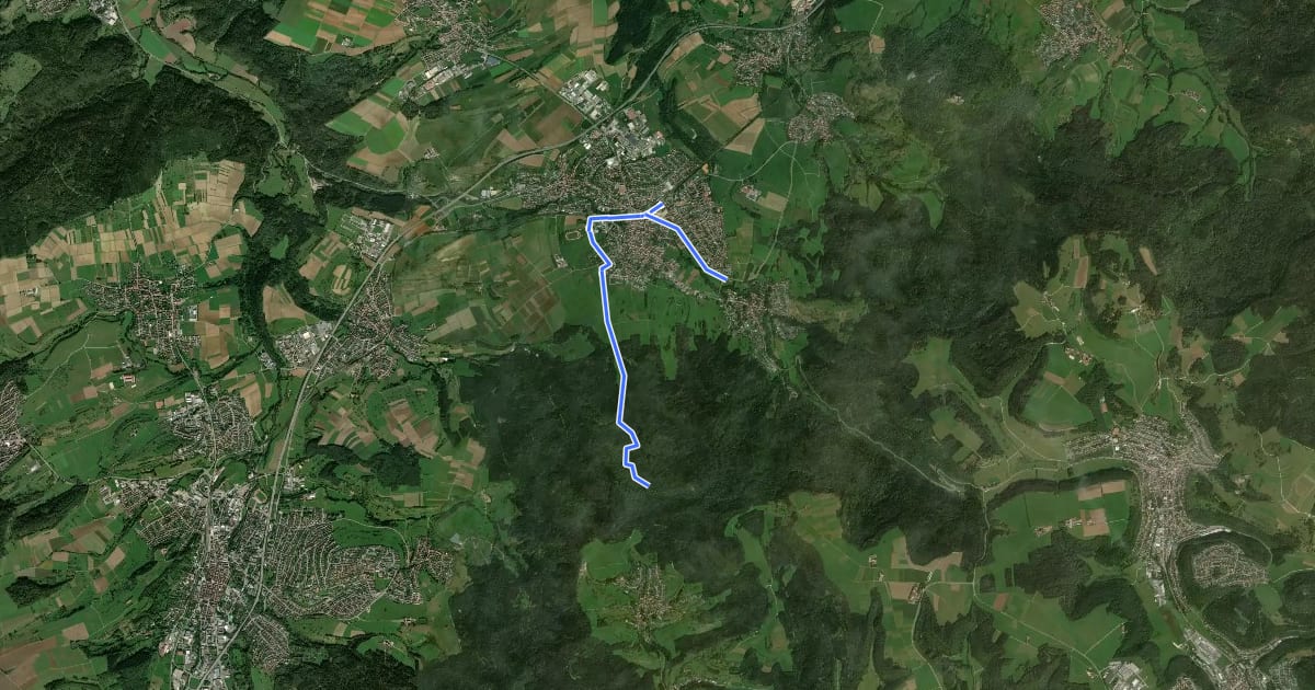 Маршрут Rundweg Ruine Ror на спутниковом снимке