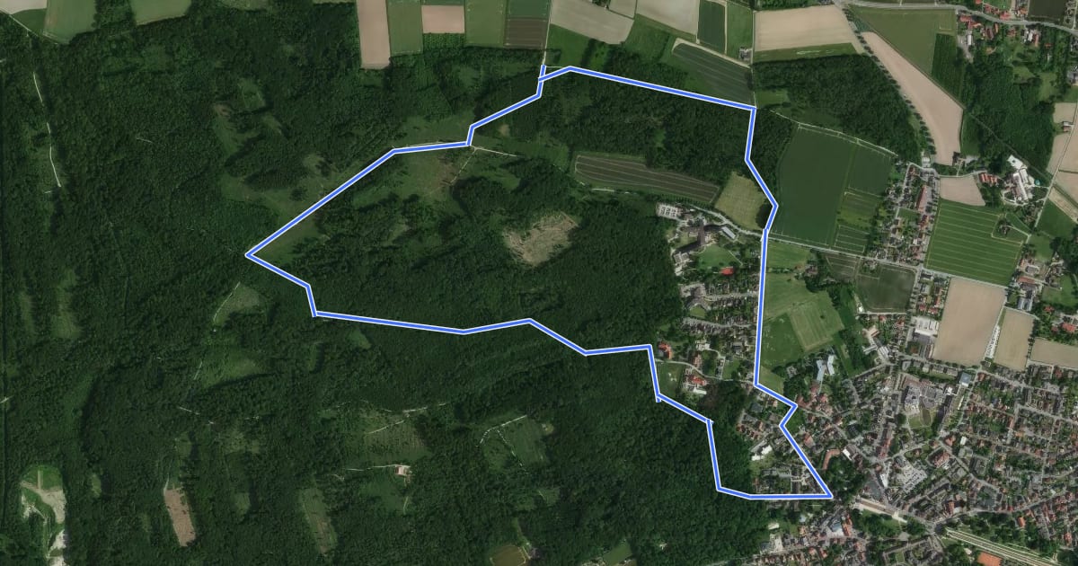 Маршрут Rundweg Südberg на спутниковом снимке