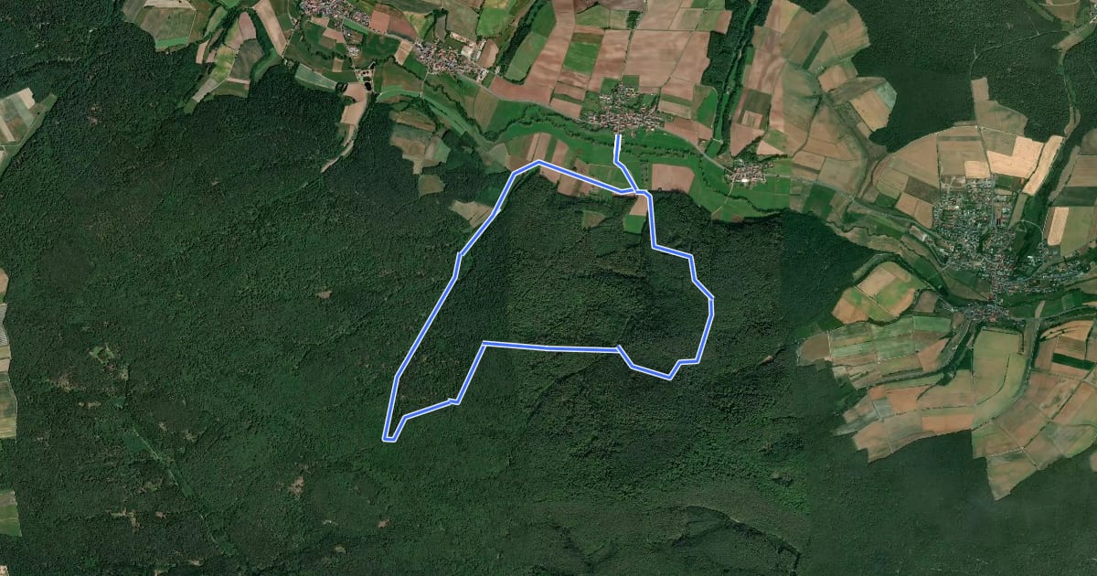 Маршрут Rundweg Schönbrunn im Steigerwald S 1 на спутниковом снимке