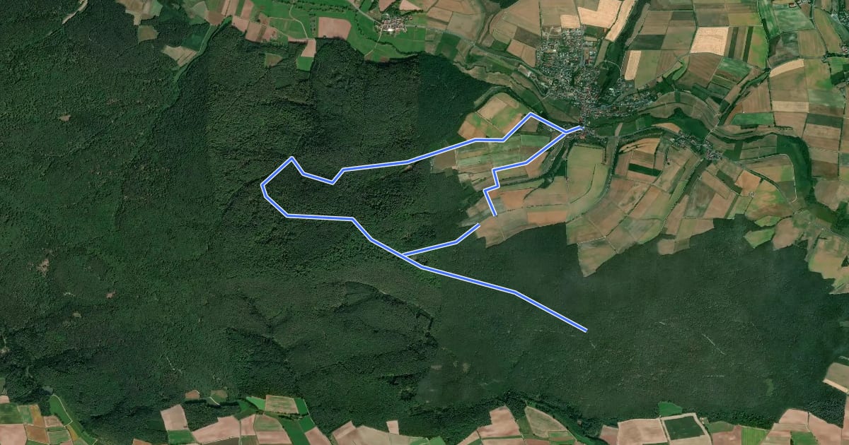 Маршрут Rundweg Schönbrunn im Steigerwald S 3 на спутниковом снимке