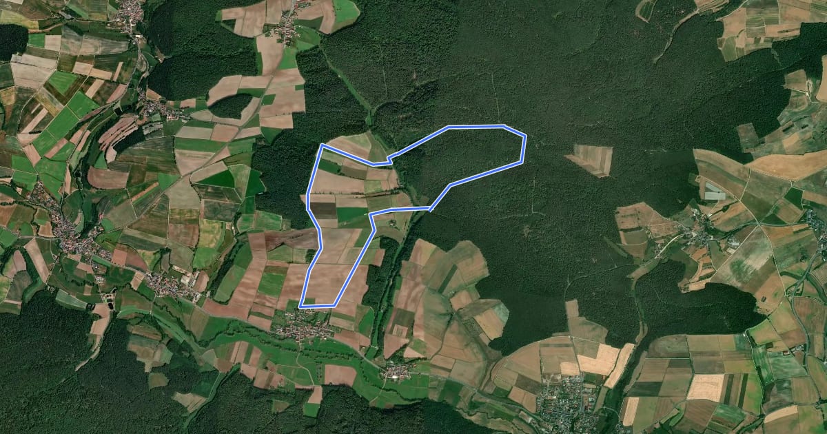 Маршрут Rundweg Schönbrunn S 2 "Schäfersteing" на спутниковом снимке