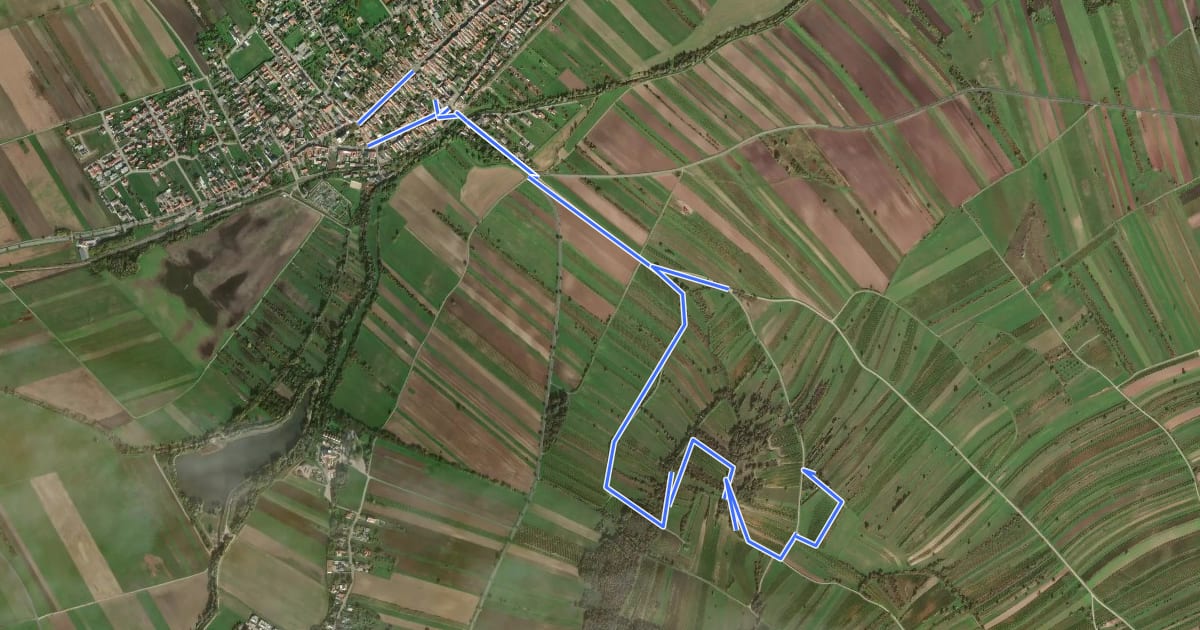 Маршрут Rundweg Schützen/Geb. Süd на спутниковом снимке