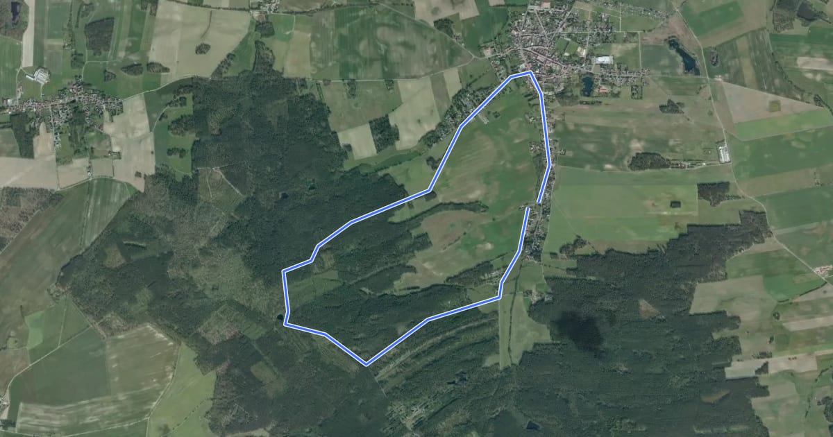Маршрут Rundweg Schildau на спутниковом снимке