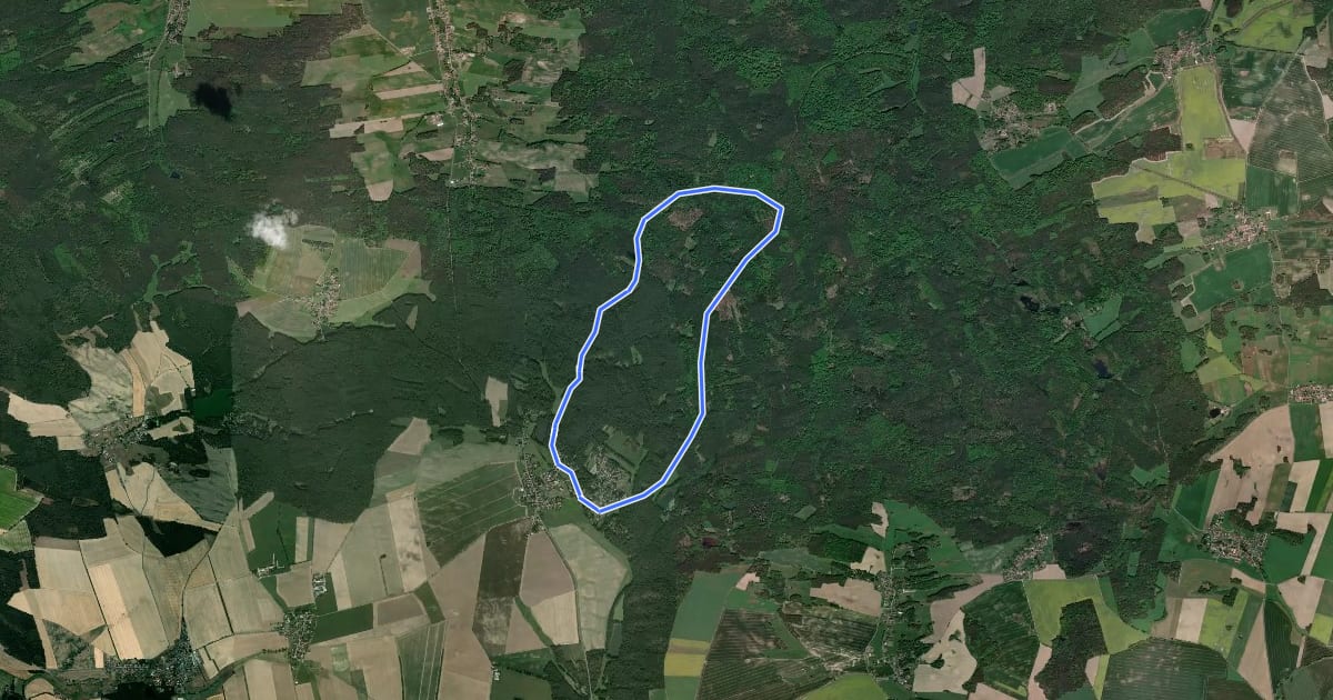 Маршрут Rundweg Schmannewitz-Jägereiche-Schmannewitz на спутниковом снимке