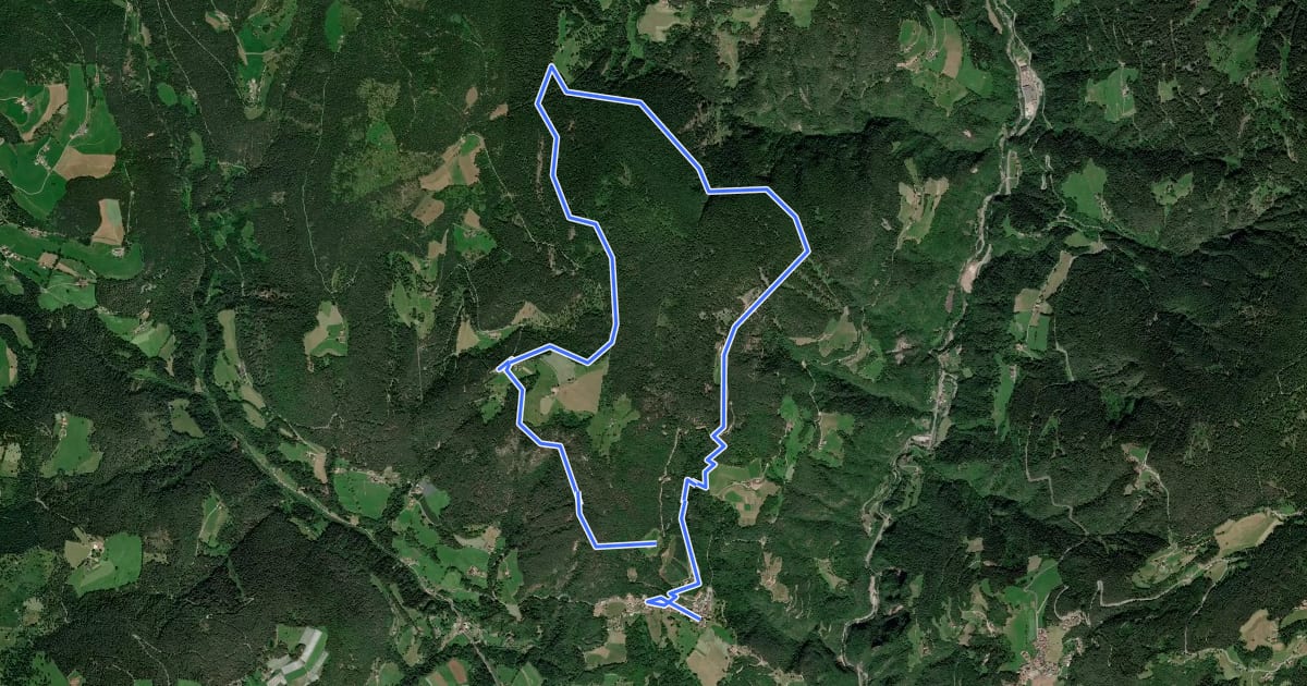 Маршрут Rundweg Schwarzegg - Sentiero circolare Dosso Nero на спутниковом снимке