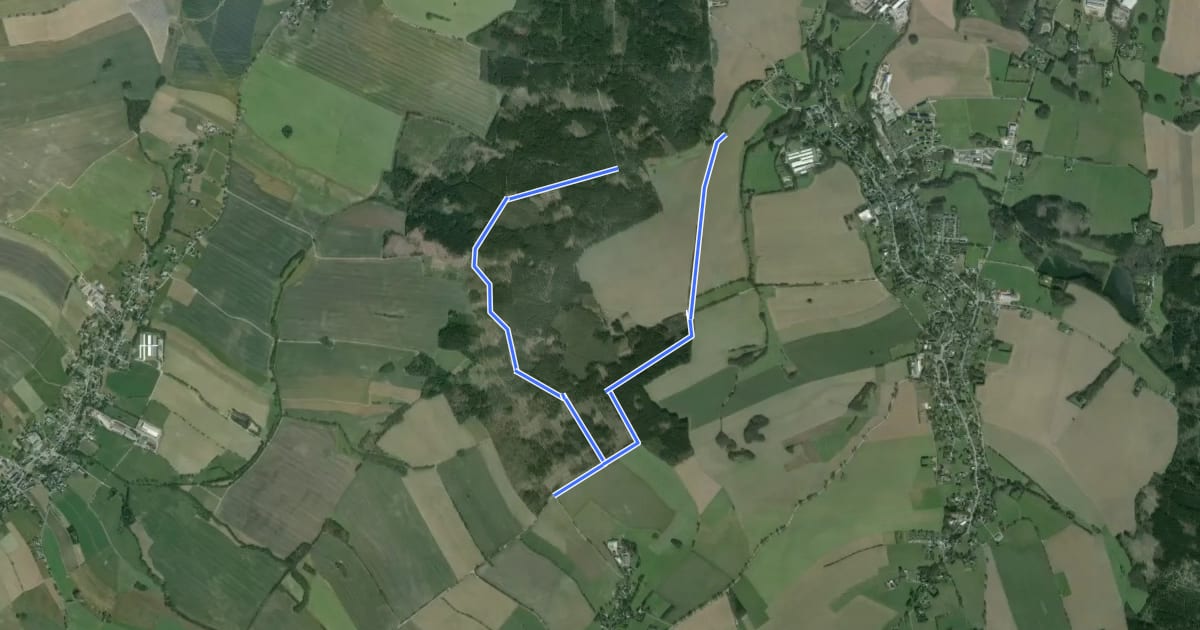 Маршрут Rundweg Schwarzer Teich на спутниковом снимке