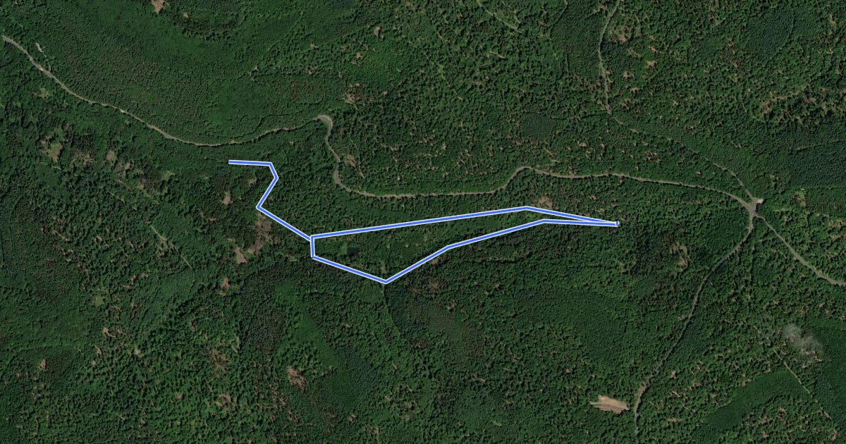 Маршрут Rundweg Seebachtal Hain на спутниковом снимке