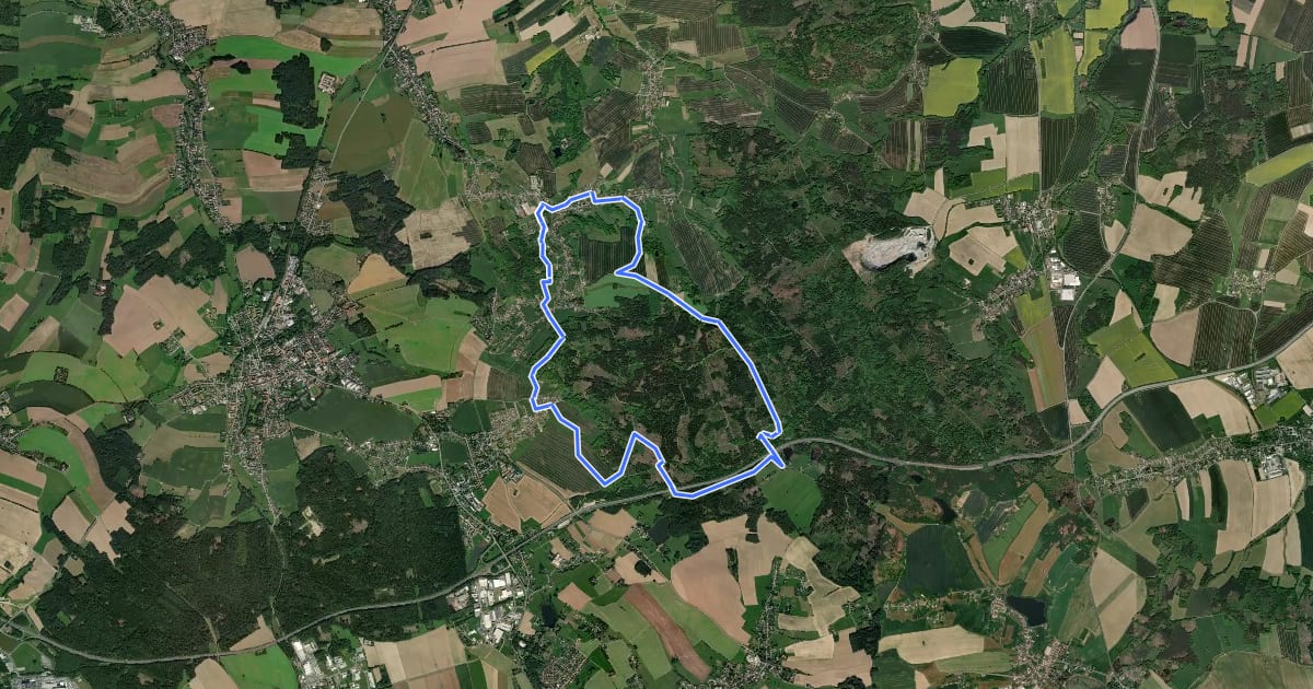 Маршрут Rundweg Steina-Luchsenburg на спутниковом снимке