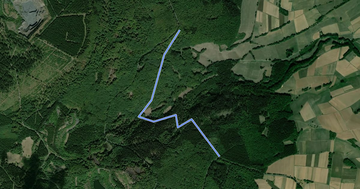 Маршрут Rundweg Teufelslöcher mit Zugang zu den Kripp- und Hielöchern на спутниковом снимке