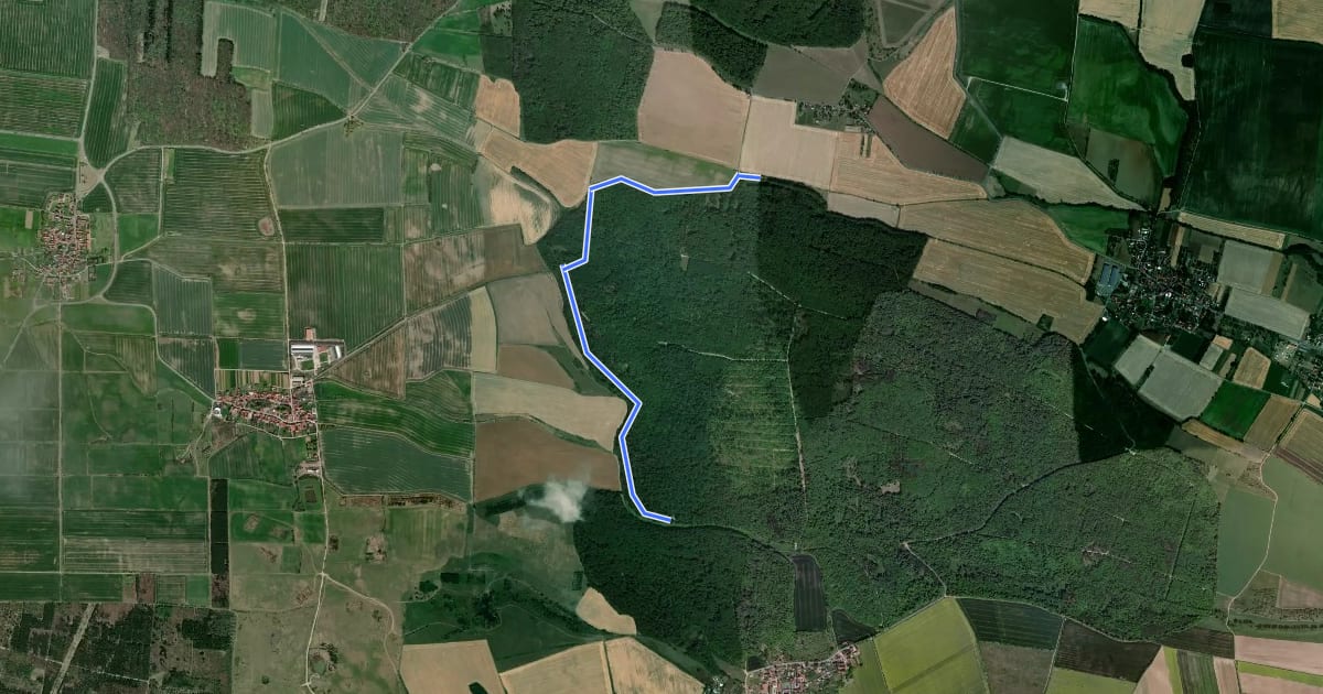 Маршрут Rundweg Volkenrodaer Wald на спутниковом снимке
