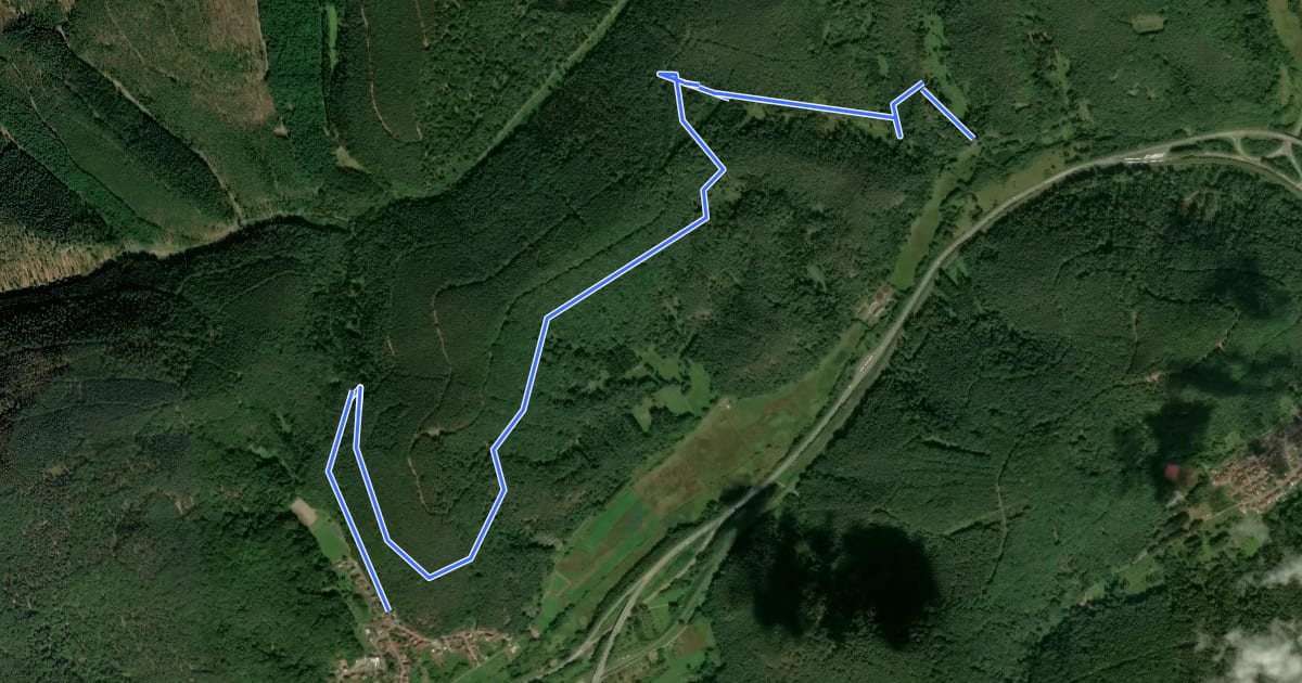 Маршрут Rundweg W Wilgartswiesen на спутниковом снимке
