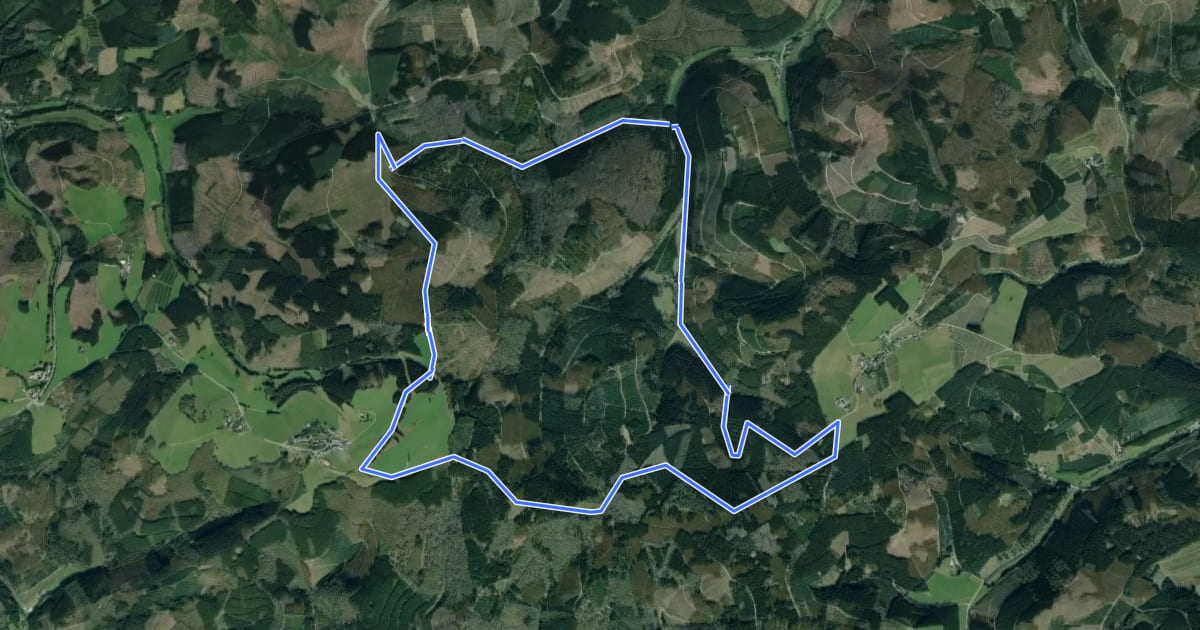 Маршрут Rundweg Wildewiese на спутниковом снимке