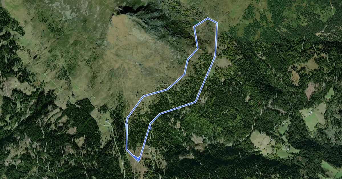 Маршрут Rundweg Winklerner Almsee на спутниковом снимке