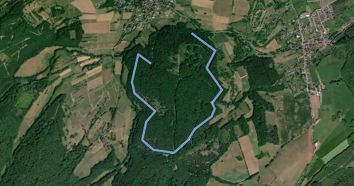 Маршрут Rundweg Wolfsberg на спутниковом снимке