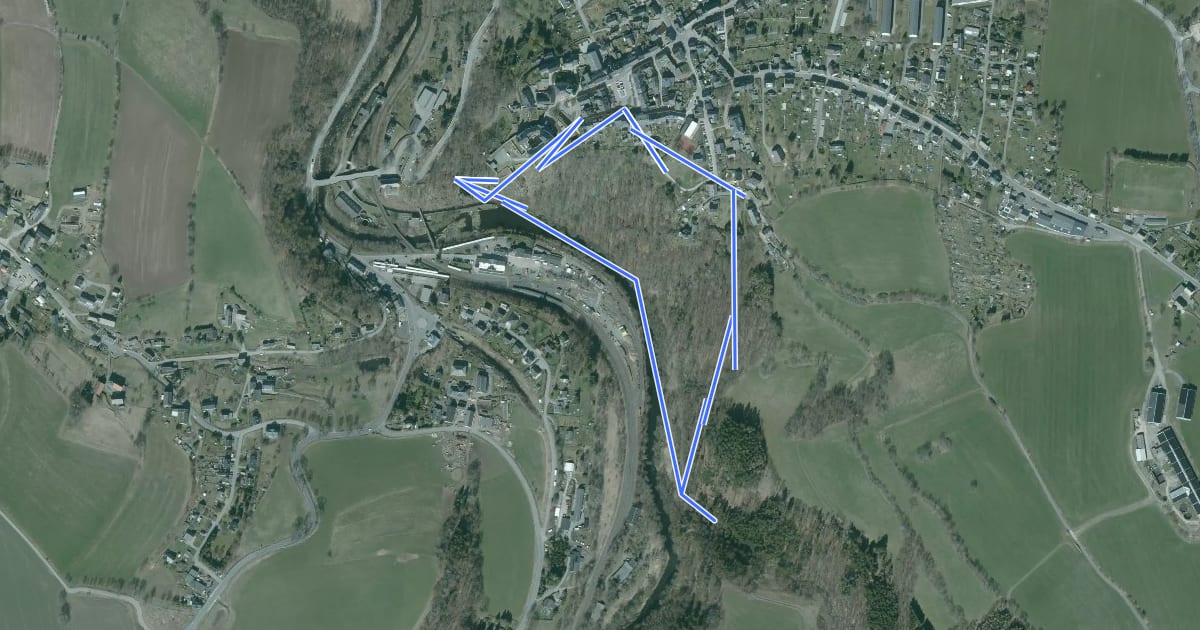 Маршрут Rundweg Wolfsschlucht на спутниковом снимке