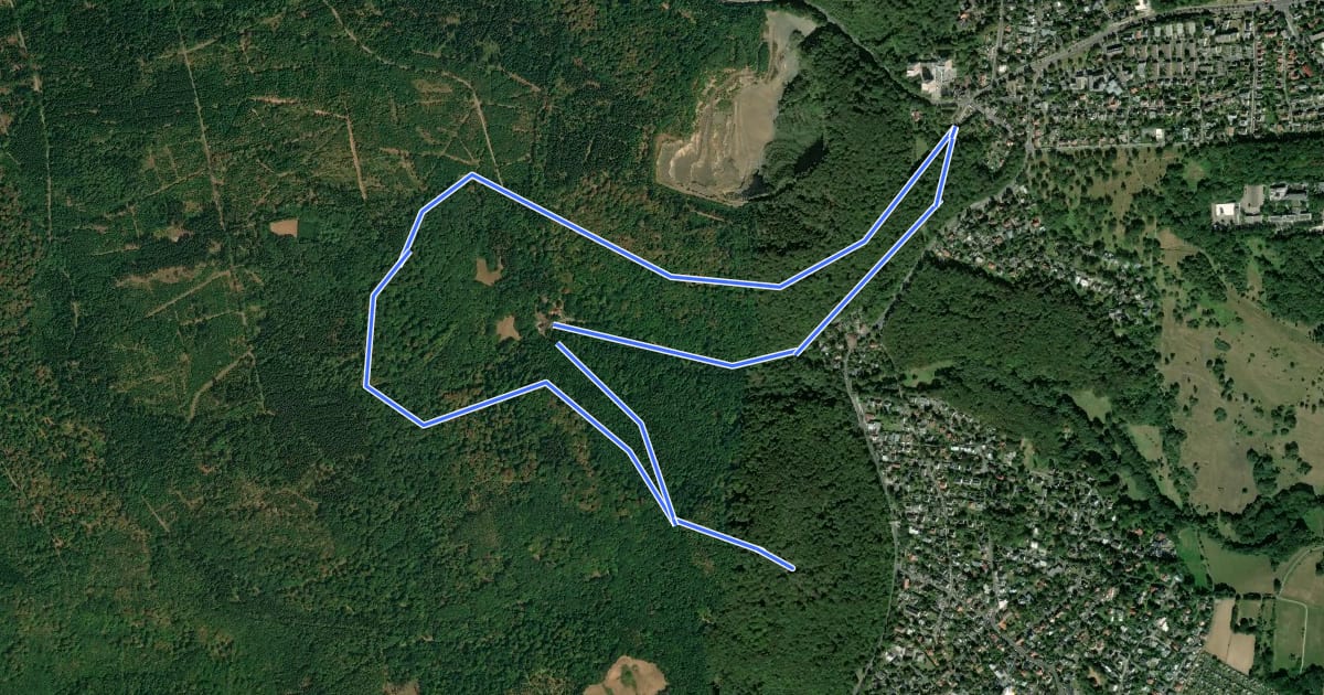 Маршрут Rundweg zum Bismarckturm на спутниковом снимке