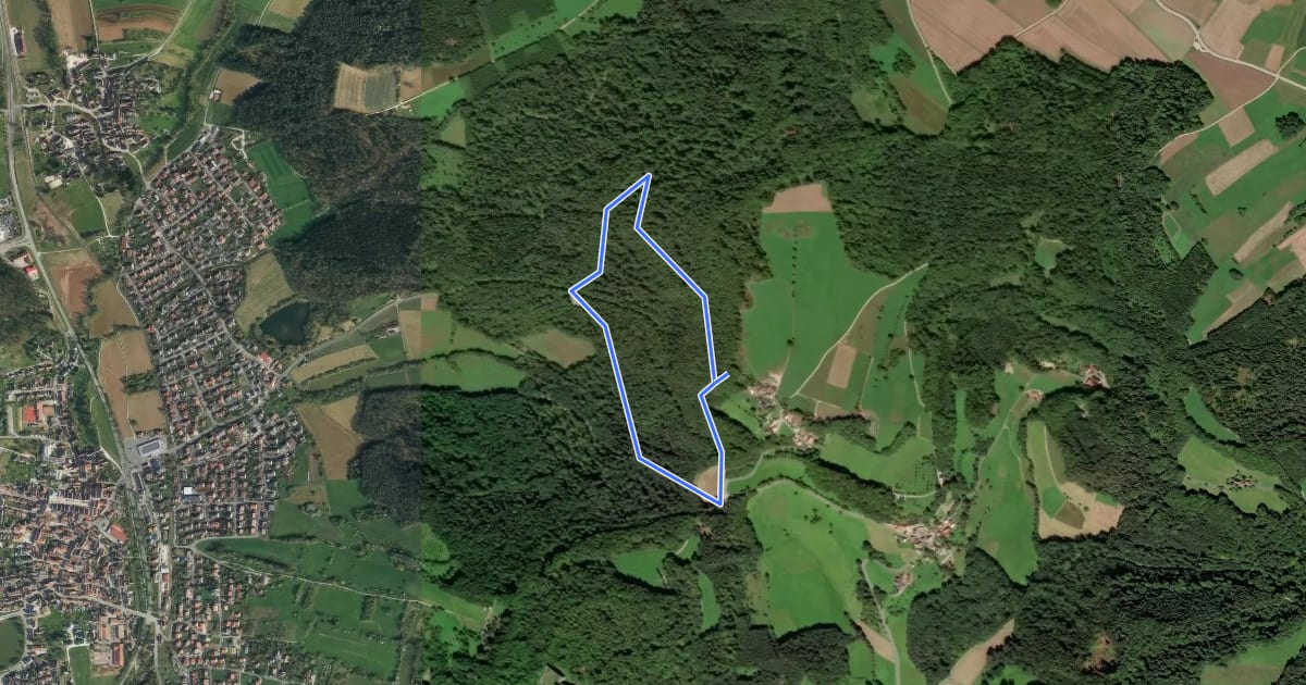 Маршрут Rundweg zum Enzenstein на спутниковом снимке