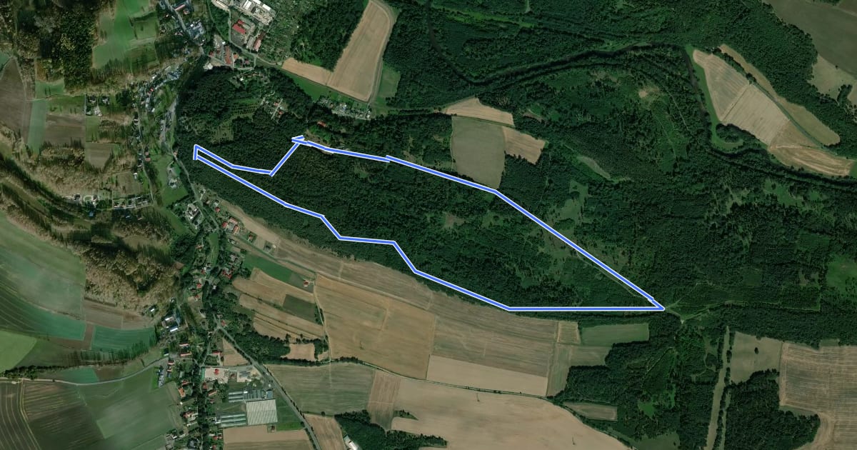 Маршрут Runtrack Szwajcaria на спутниковом снимке