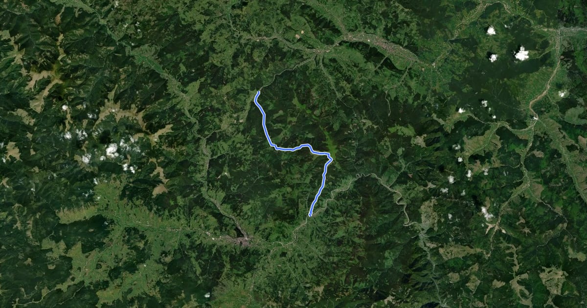 Маршрут Rusca – Cabana Giumalău – localitatea Valea Putnei (yellow stripe) на спутниковом снимке