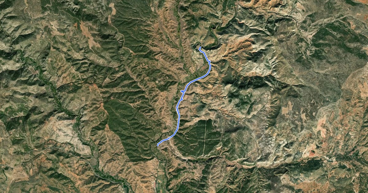 Маршрут Ruta 1 Por El Rio Túria на спутниковом снимке