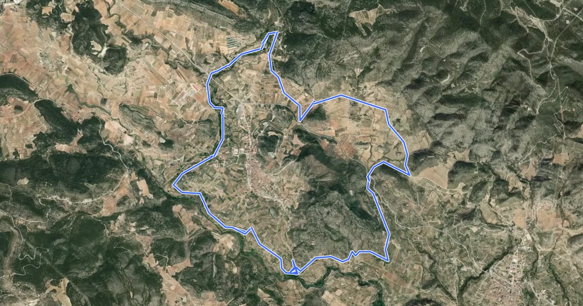 Маршрут Ruta 11 на спутниковом снимке
