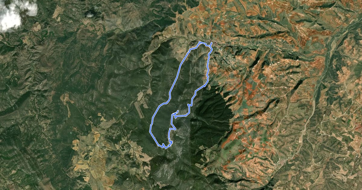 Маршрут Ruta 13. PR-Z 25. Circular Herrera de los Navarros - Virgen de Herrera на спутниковом снимке
