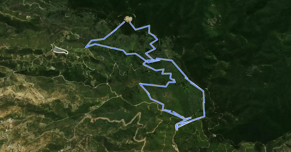 Маршрут Ruta 14: Laguna Grande - Alto de Garajonay на спутниковом снимке