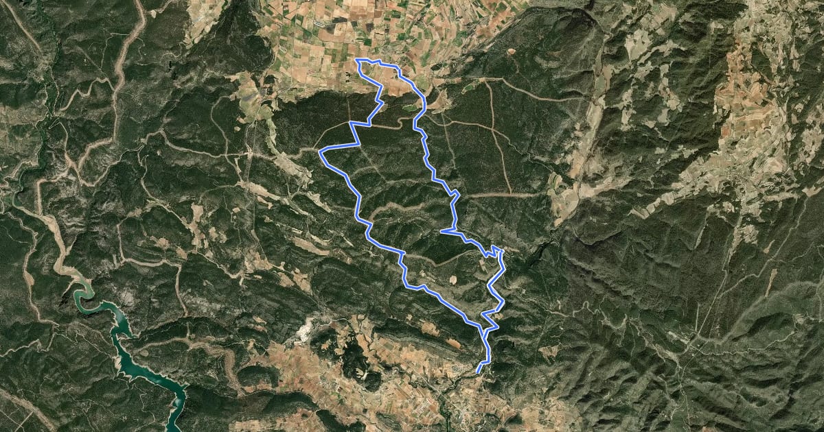 Маршрут Ruta 15 на спутниковом снимке