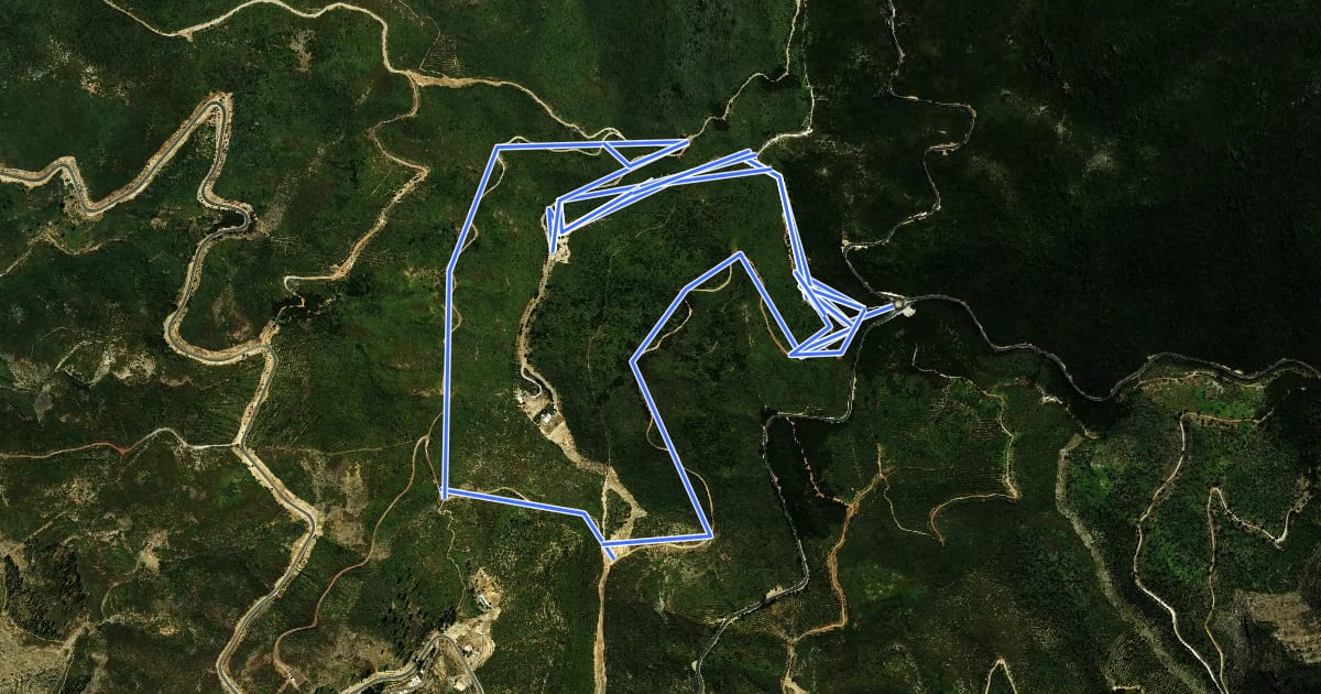 Маршрут Ruta 17: Pajarito - Alto de Garajonay - Pajarito на спутниковом снимке