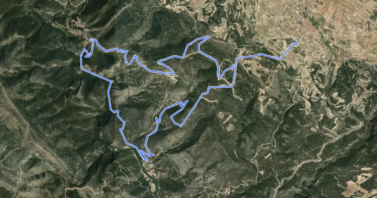 Маршрут Ruta 8 на спутниковом снимке