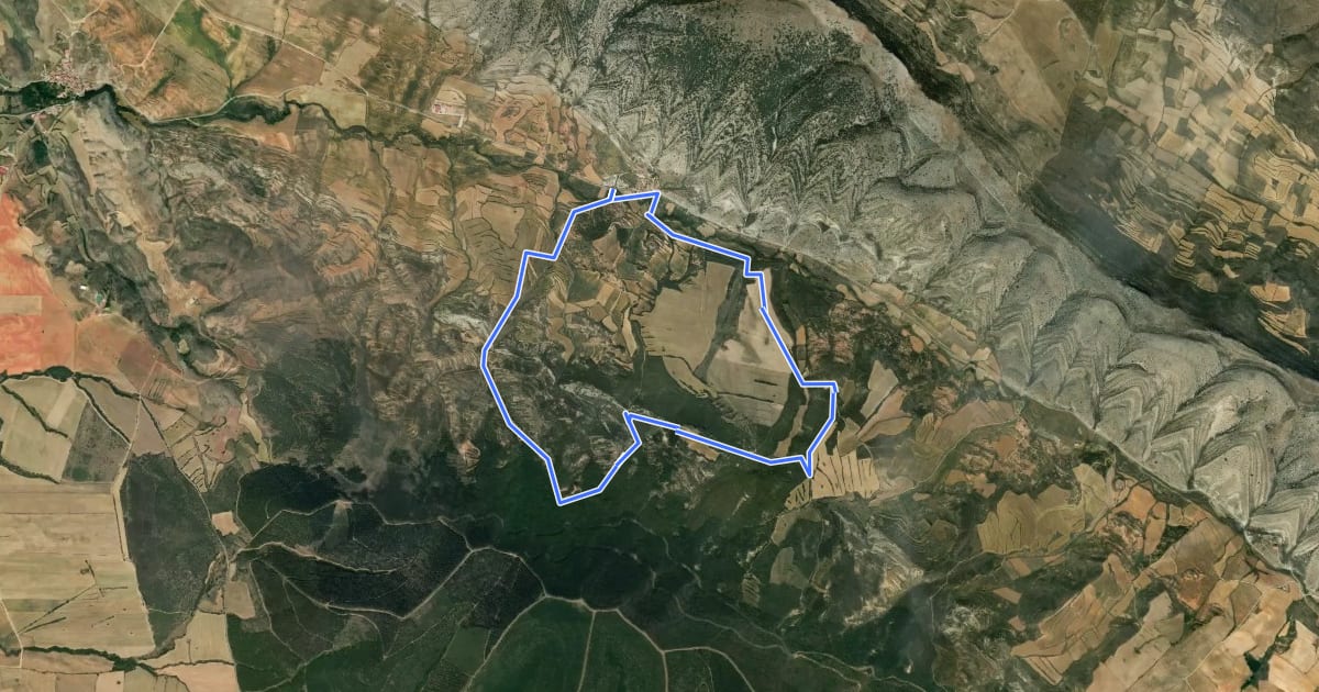 Маршрут Ruta Botánica de Bea на спутниковом снимке
