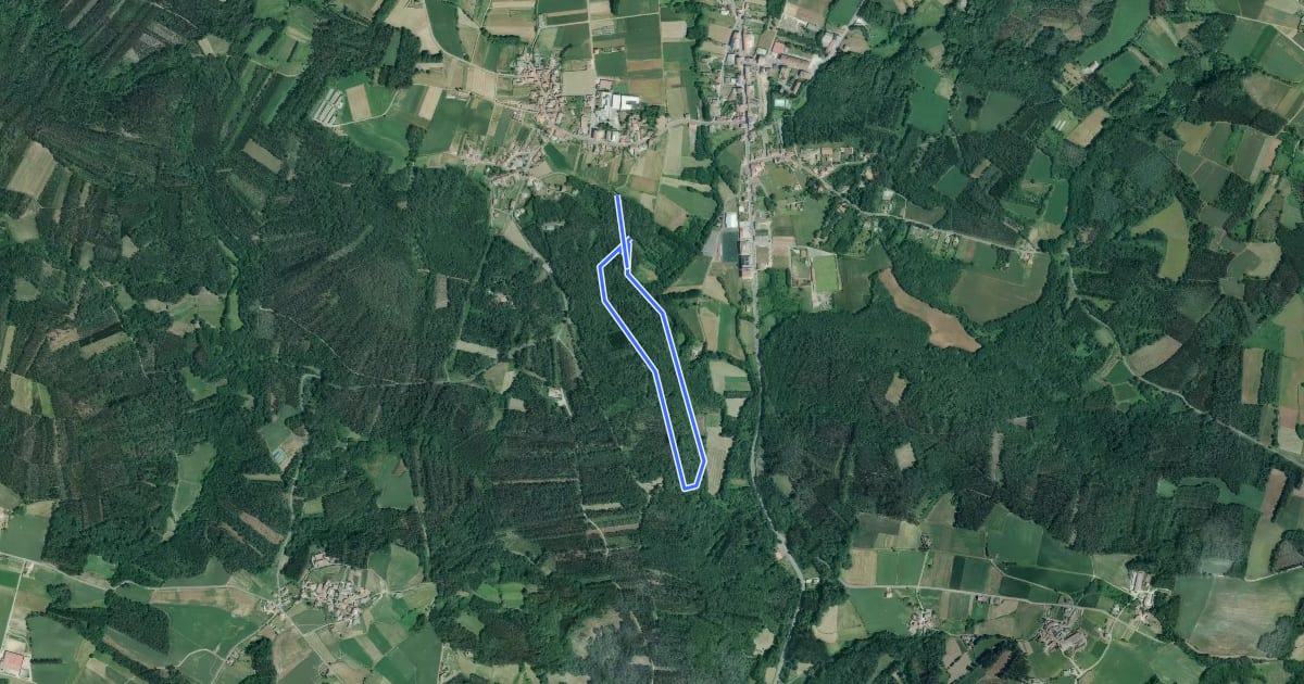 Маршрут Ruta das Carballeiras do Dubra на спутниковом снимке