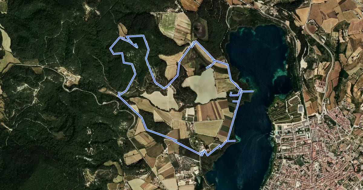 Маршрут Ruta de Can Morgat i Puig Clarà на спутниковом снимке