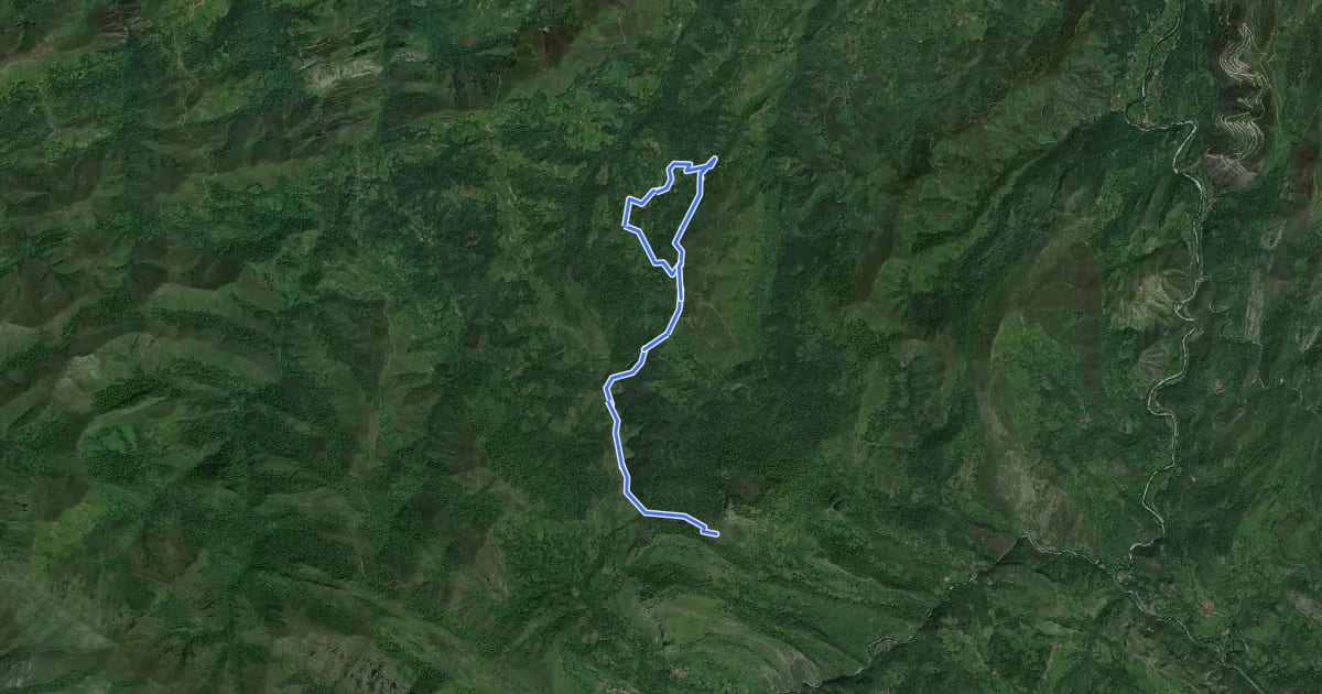 Маршрут Ruta de Cea y Cetin на спутниковом снимке