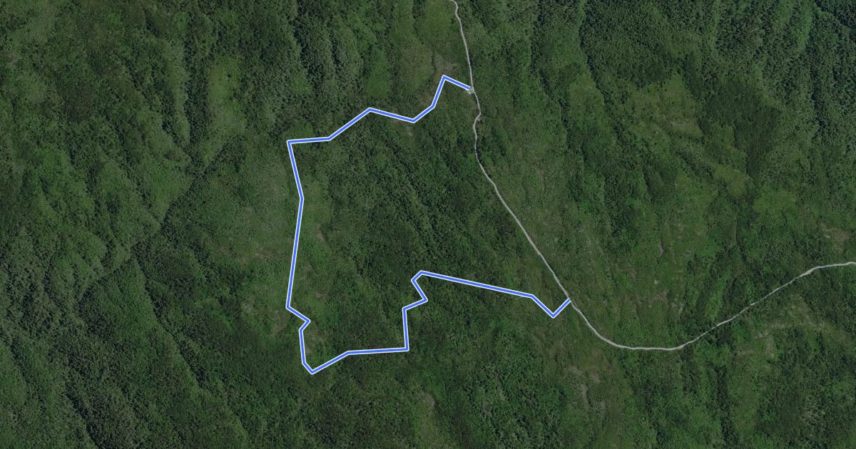 Маршрут Ruta de Darwin на спутниковом снимке