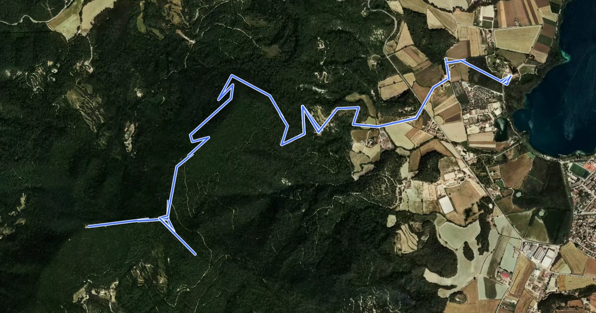 Маршрут Ruta de l’Estany a Sant Patllari на спутниковом снимке