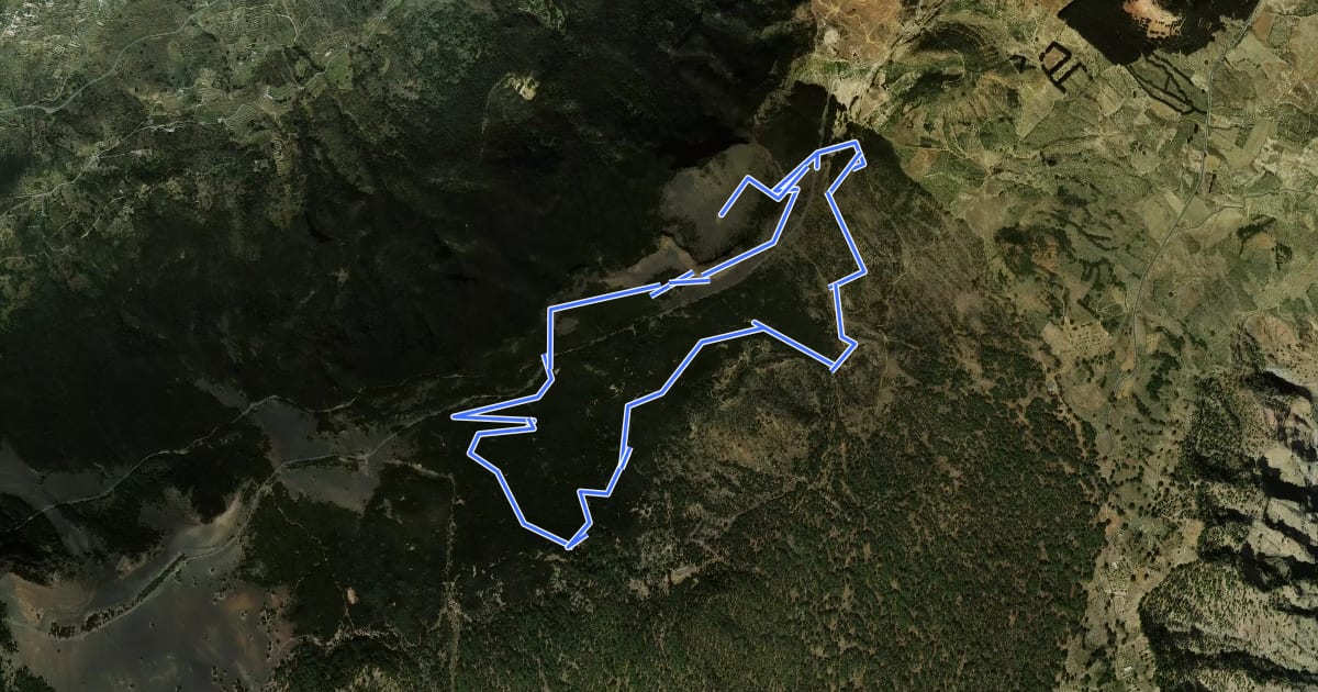 Маршрут (Ruta de la Llanía) на спутниковом снимке