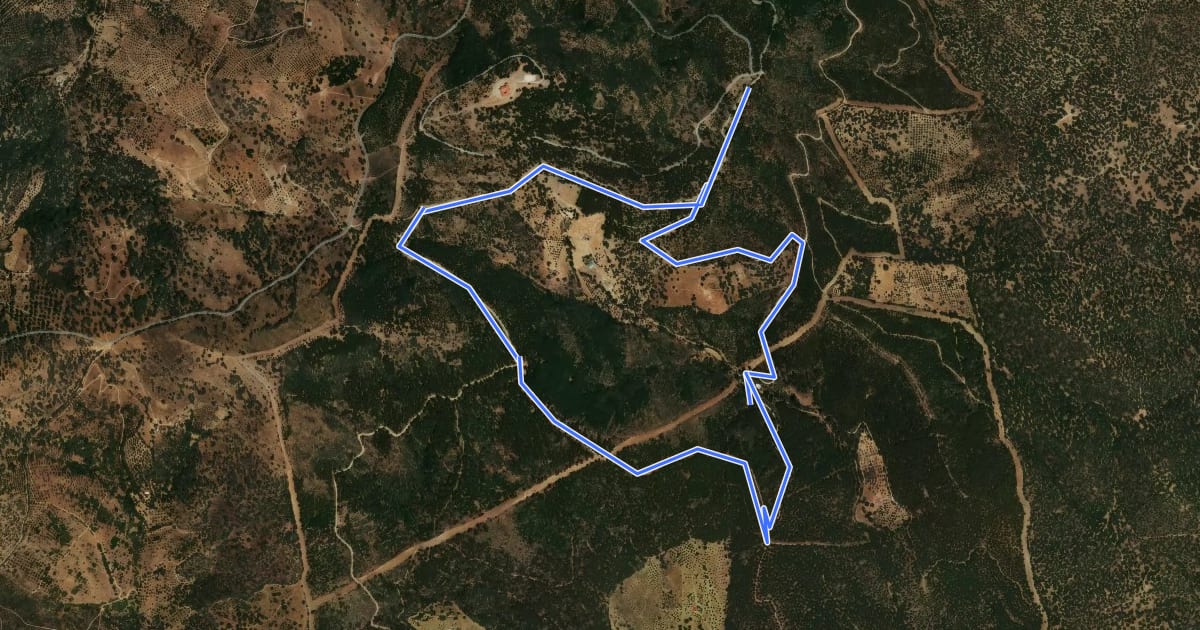 Маршрут Ruta de la Pantaneta на спутниковом снимке
